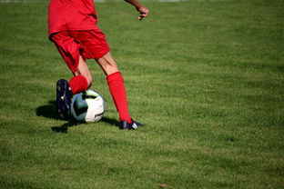 爱游戏中国官方网站平台-篮球比赛策略智能辅助系统,篮球智能训练